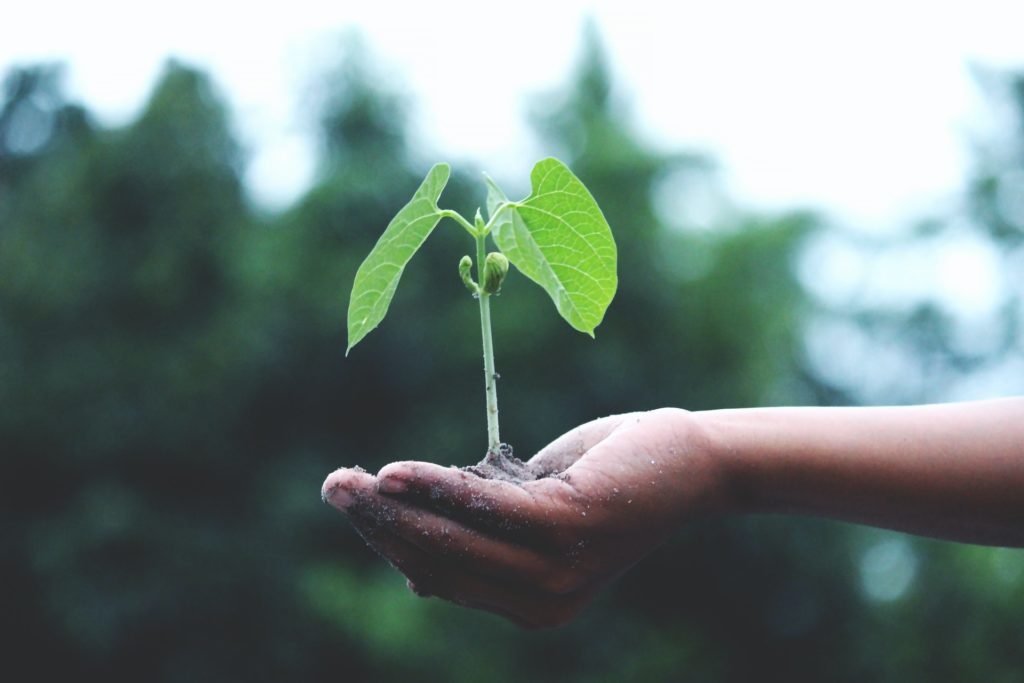 A economia circular colabora para um futuro sustentavel