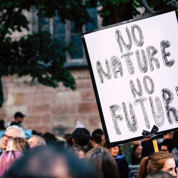 preservação ambiental